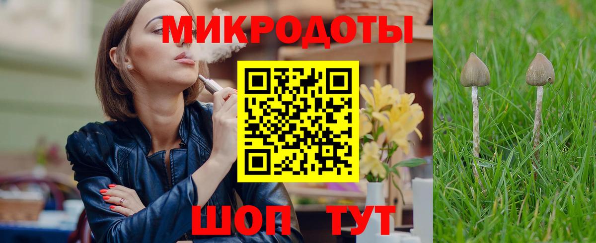Псилоцибиновые грибы мухоморы Старая Русса